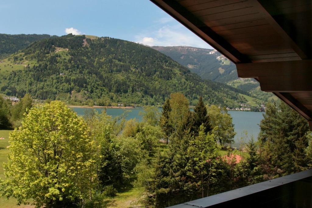 Edelweiss Am See Цел ам Зее Стая снимка