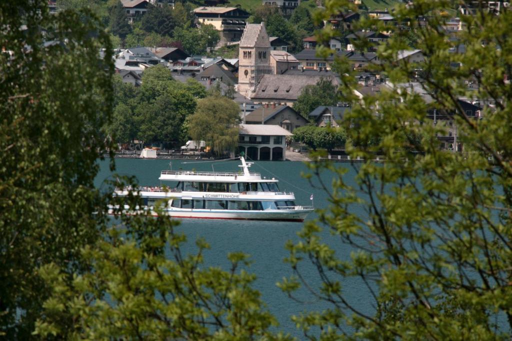 Edelweiss Am See Цел ам Зее Стая снимка